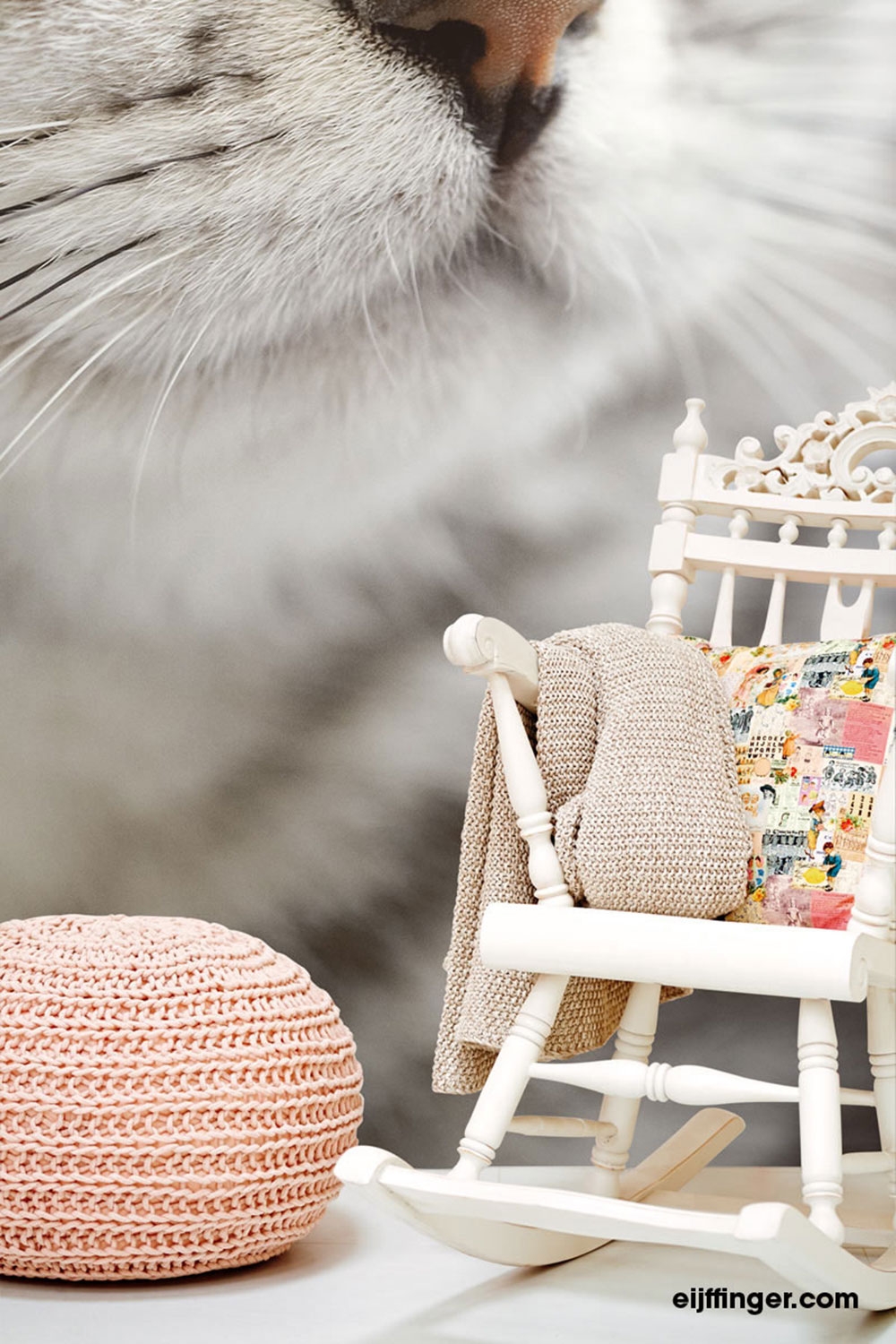 Fototapete - Katze 364123, Wallpower Junior, Eijffinger