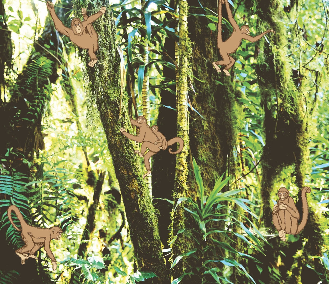 Fototapete Affen im Wald 364155, Wallpower Junior, Eijffinger