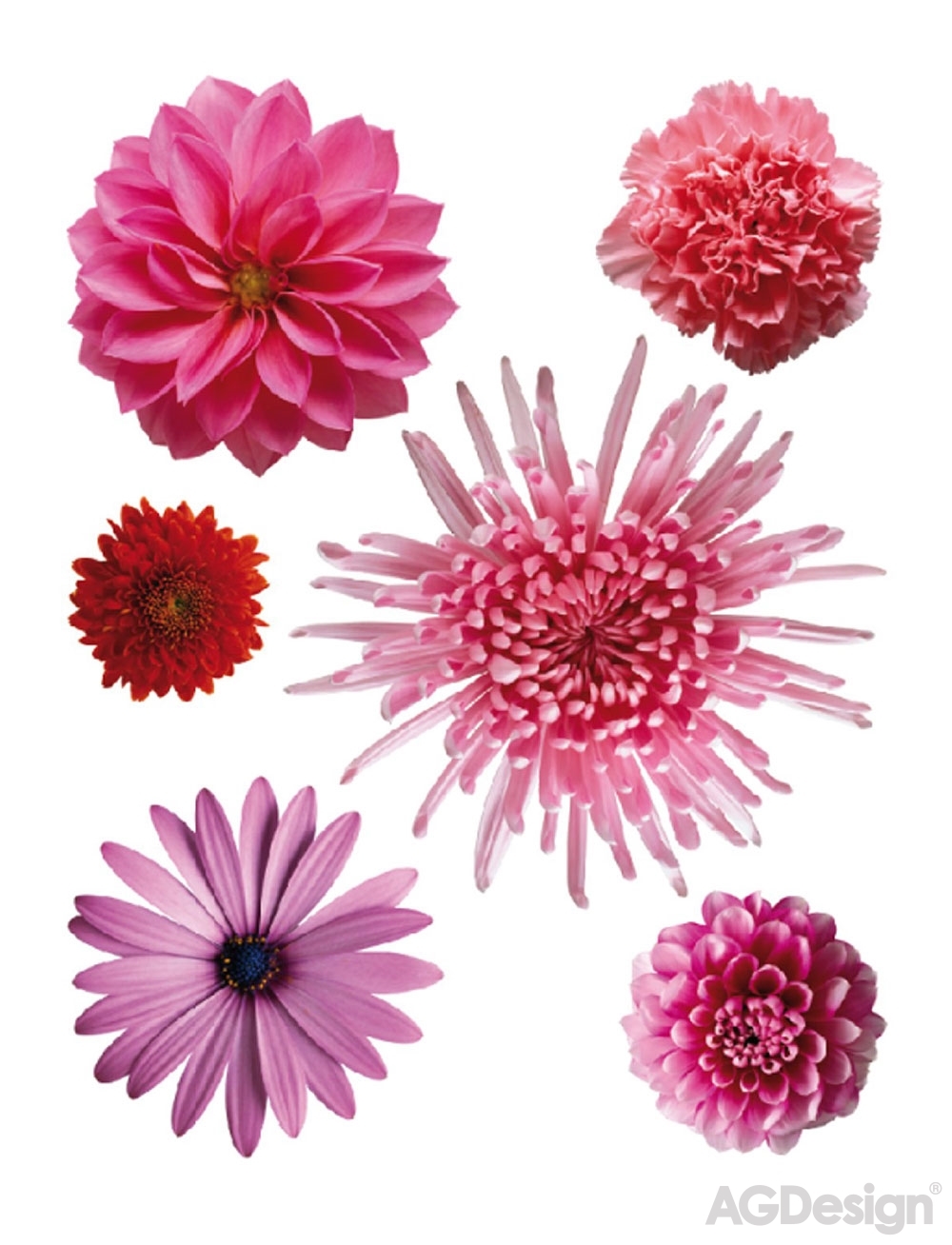 Selbstklebende Wanddekoration F 0406, Pinke Blumen, AG Design