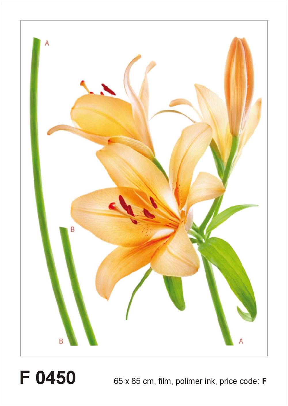 Selbstklebende Wanddekoration F 0450, Orangefarbene Lilie, AG Design