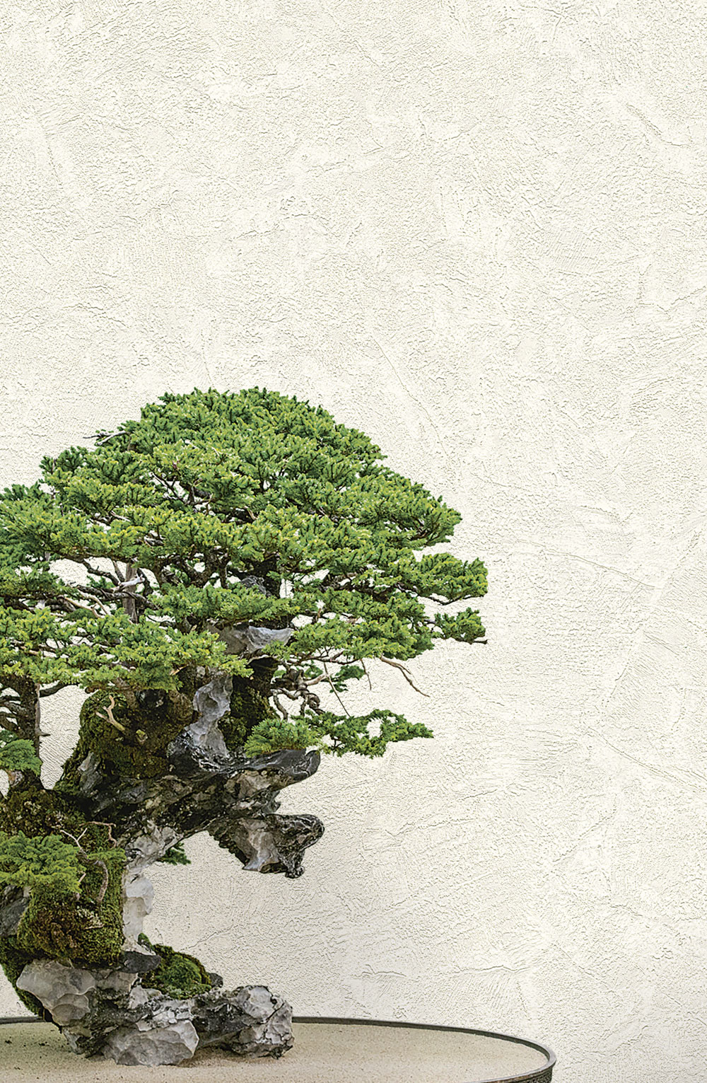 Luxuriöse cremefarbene Stucktapete 72965, Zen, Emiliana Parati 