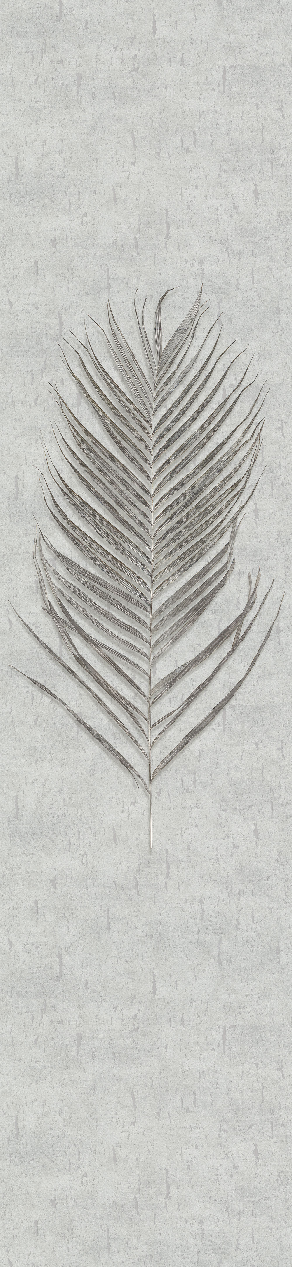 Fototapete, Palmblätter 33276, 0,7 x 3,3m, Natural Opulence, Marburg