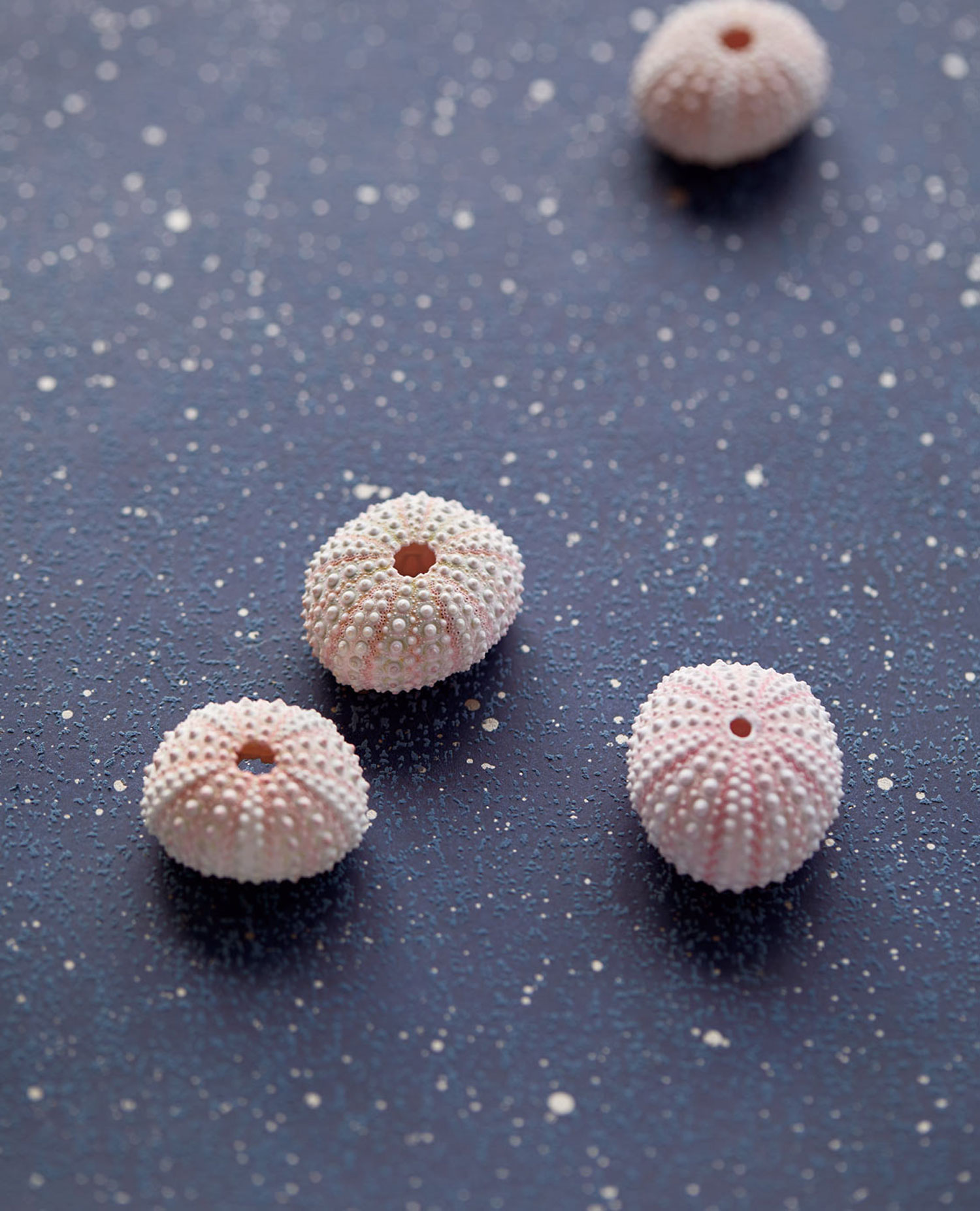 Blaue Vliestapete na zed, goldene Punkten, 333226, Unify, Eijffinger