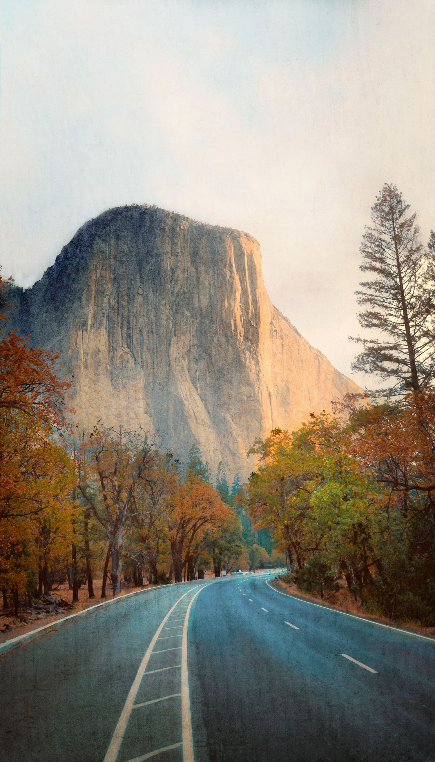 Fototapete, Blick auf den Felsen, ML1201, Mural Young Edition, Grandeco