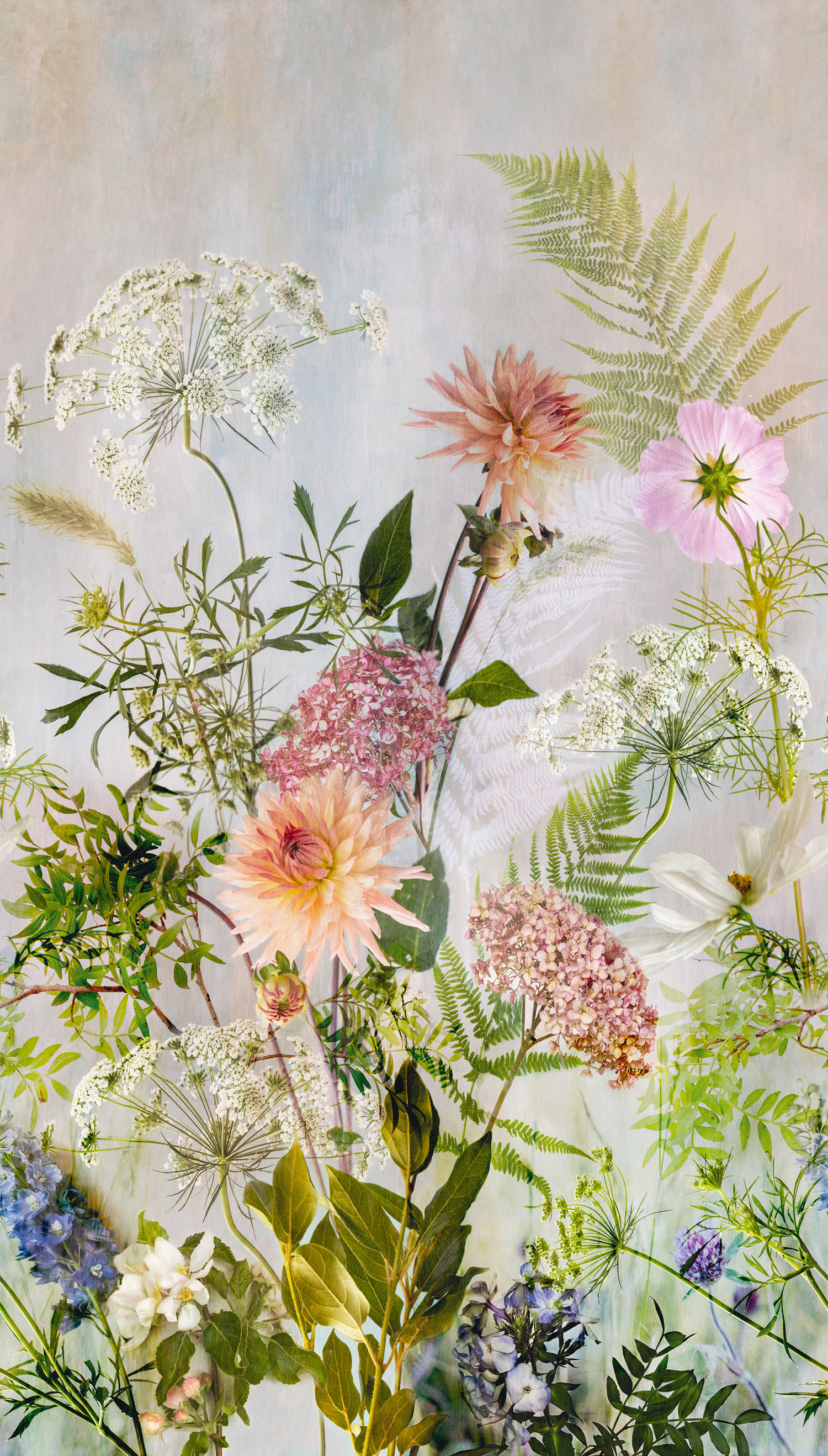 Fototapete mit Blumen, ML2001, Mural Young Edition, Grandeco