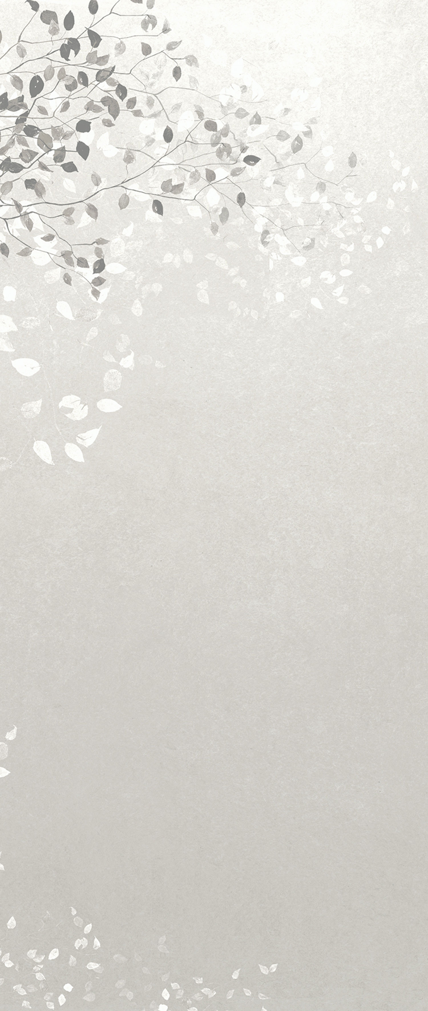 Fototapete, Zweige, Blätter,, DG3CLI1012, Wall Designs III, Khroma by Masureel