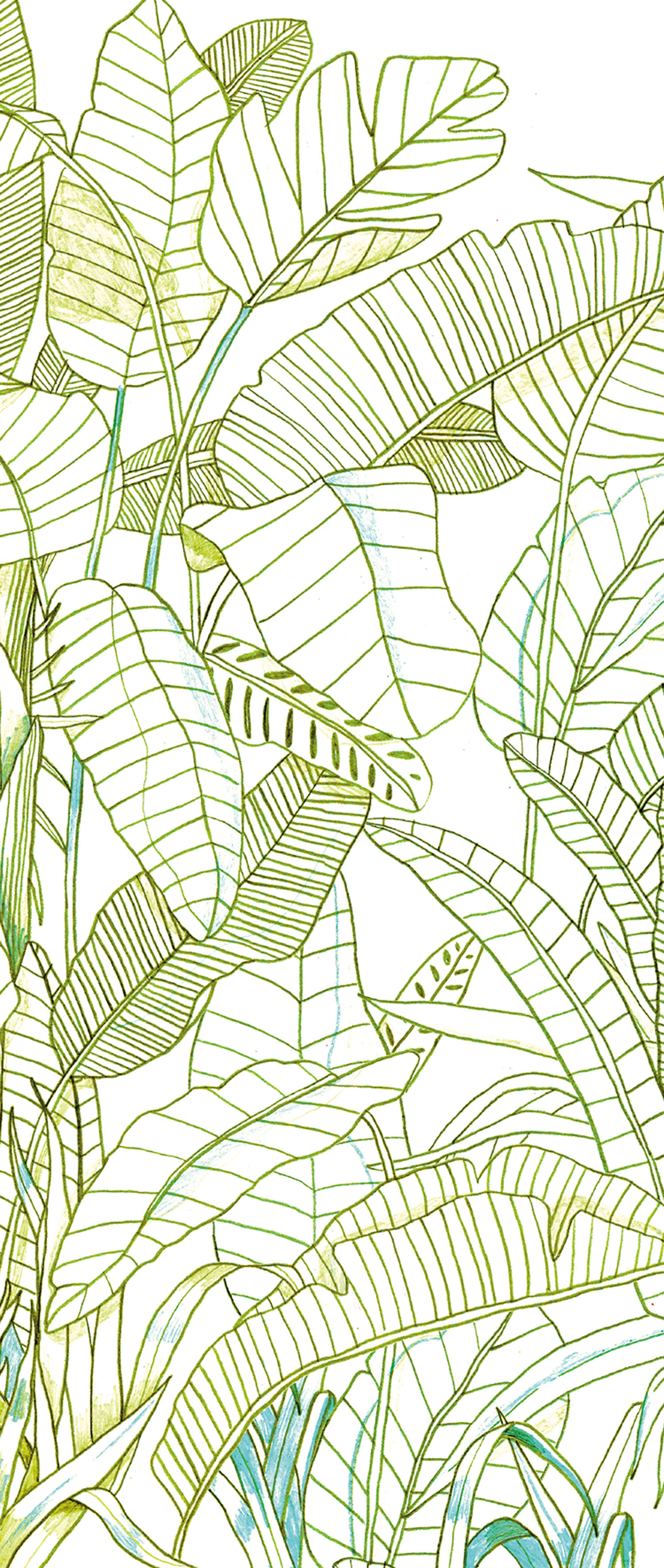 Grüne Fototapete, Blätter, DG3GRA1013, Wall Designs III, Khroma by Masureel