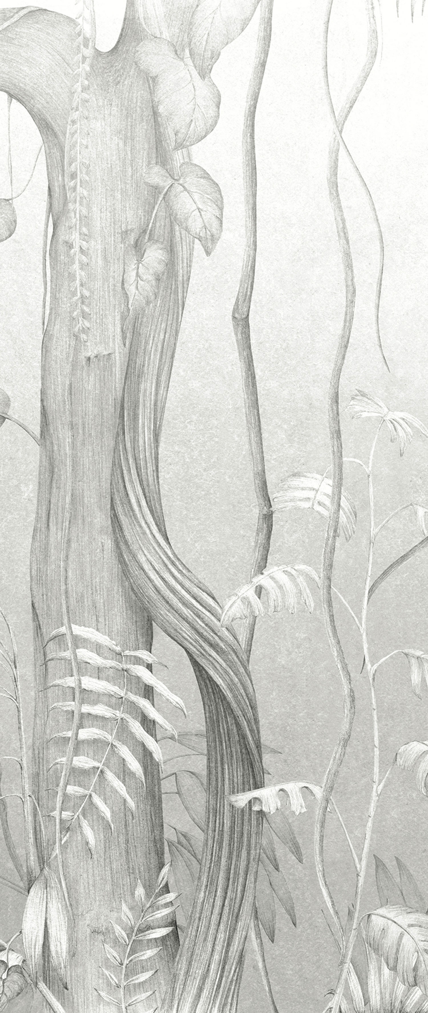 Graue Fototapete, Blätter, Bäume, DG3MOE1012, Wall Designs III, Khroma by Masureel