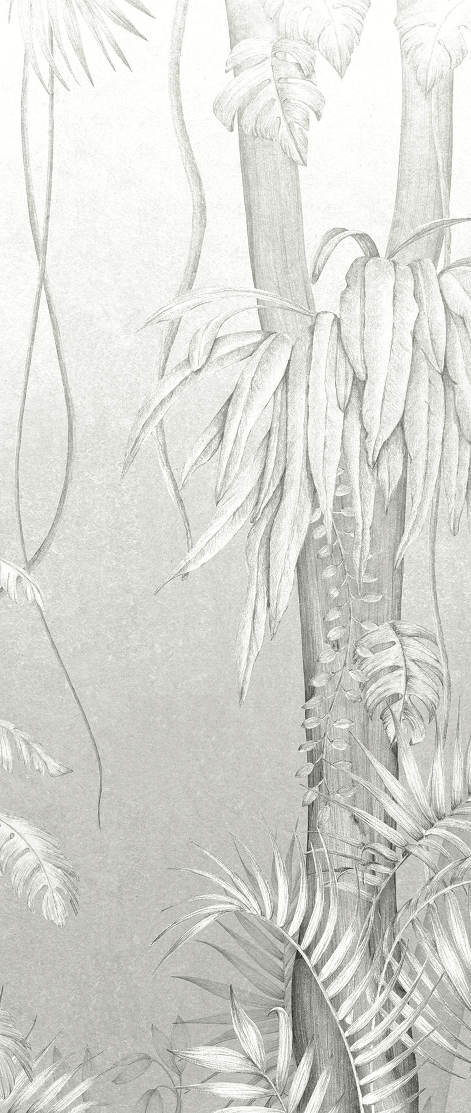 Graue Fototapete, Blätter, Bäume, DG3MOE1013, Wall Designs III, Khroma by Masureel