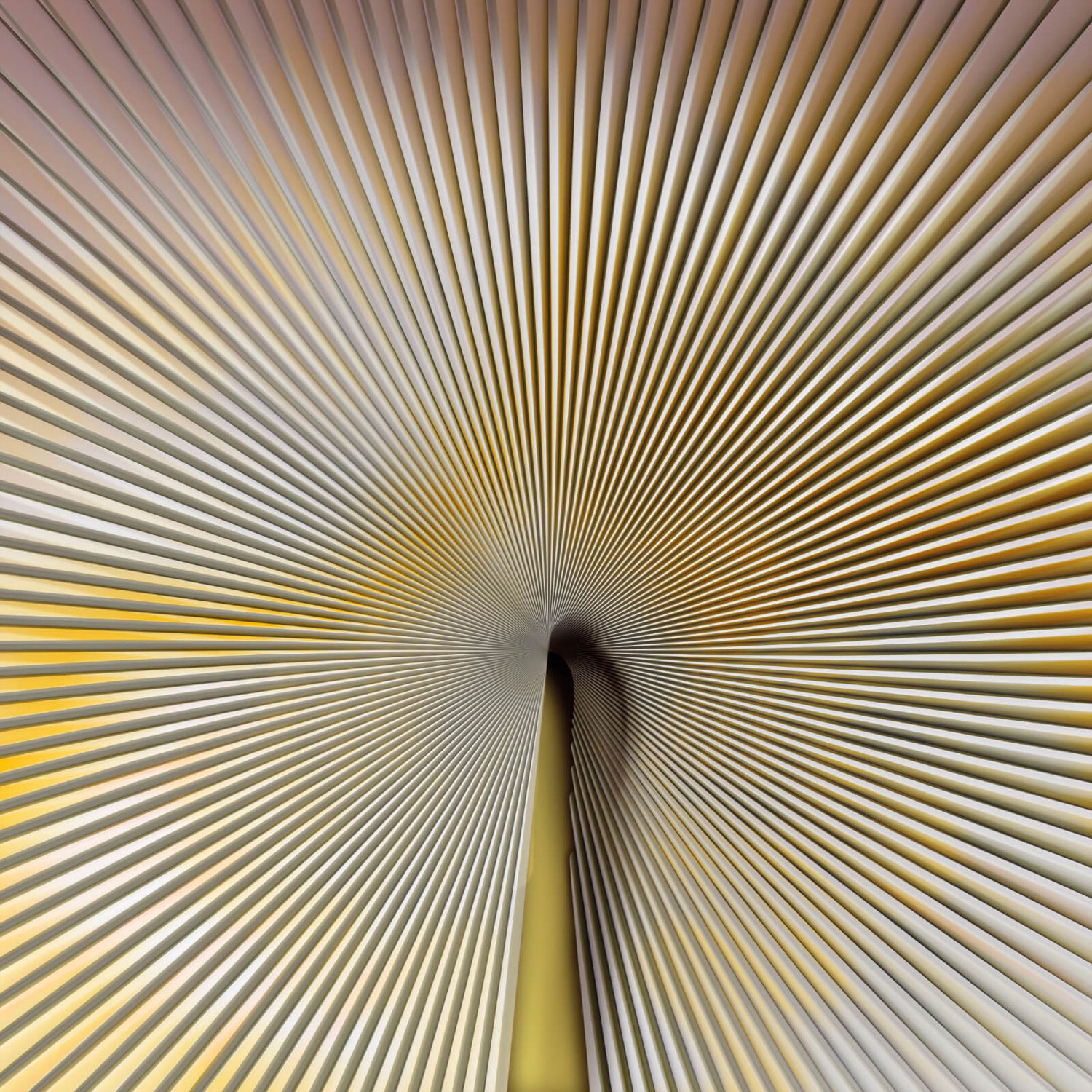 Luxuriöse Fototapete, Sunshine, Z18991, Trussardi 7, Zambaiti Parati