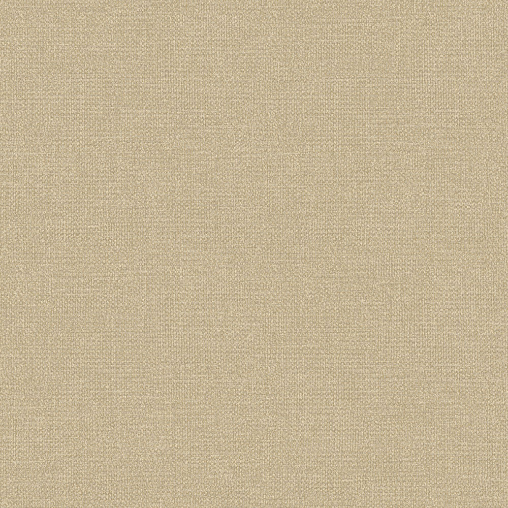 Vliestapete, braun-grau, RE25123, Reflect, Shades of Colour, Decoprint