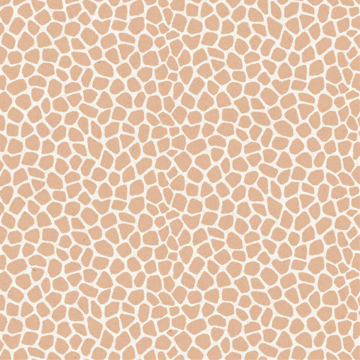 Braun-weiße Vliestapete, 17182, MiniMe, Cristiana Masi by Parato