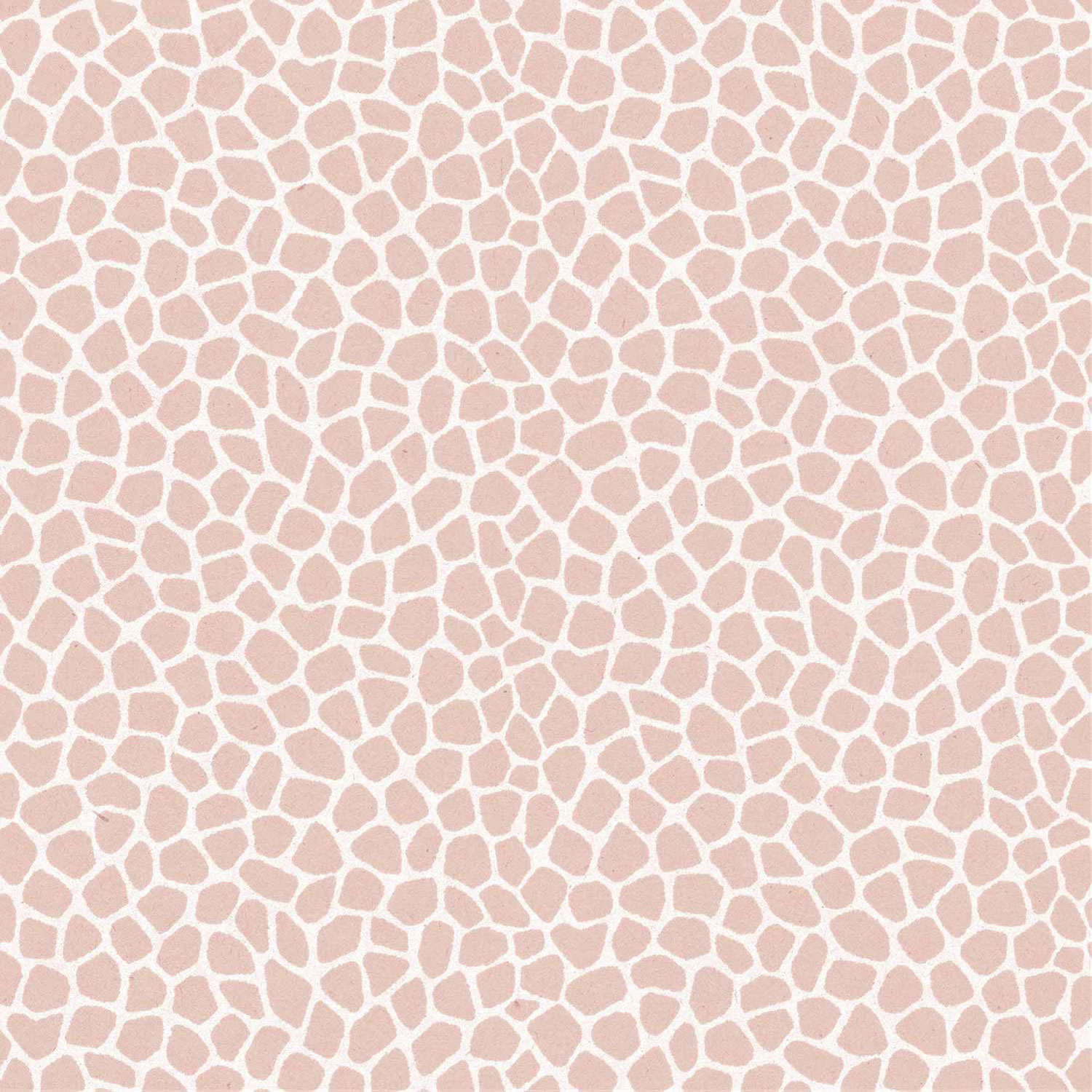 Rosa-weiße Vliestapete, 17184, MiniMe, Cristiana Masi by Parato