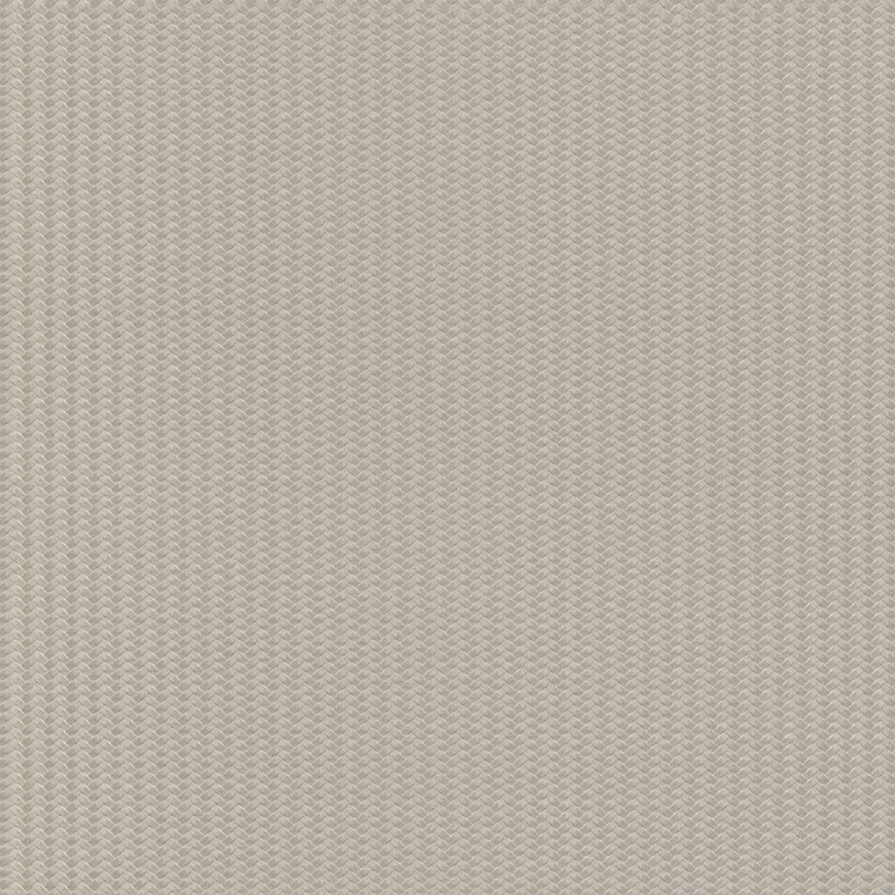 Luxuriöse grau-beige Vliestapete, Z12839, Automobili Lamborghini 3