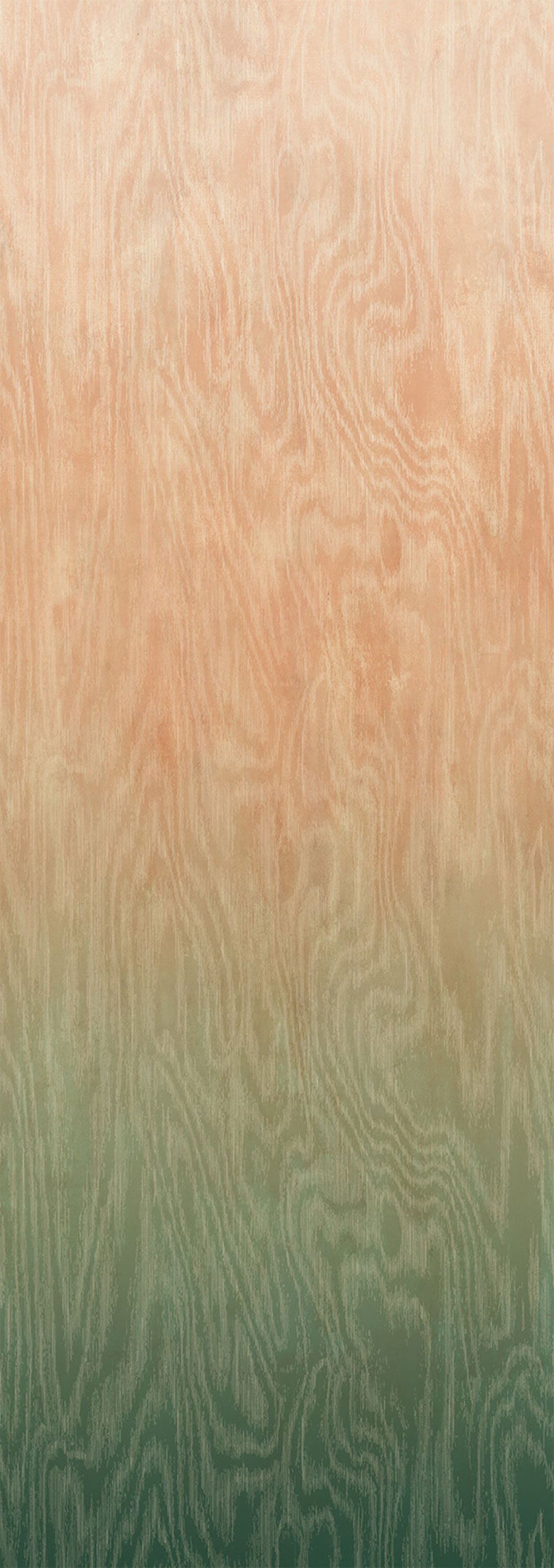 Fototapete, Moiré, DG4MOI1082-260, Wall Designs IV, Khroma by Masureel