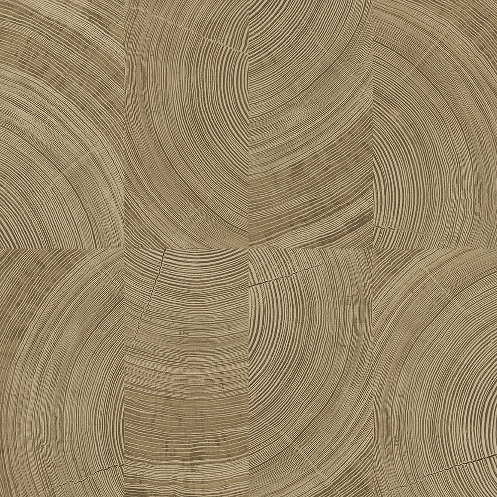 Tapete in braun-beiger Holzpaneel-Optik, A69102, Vavex 2026