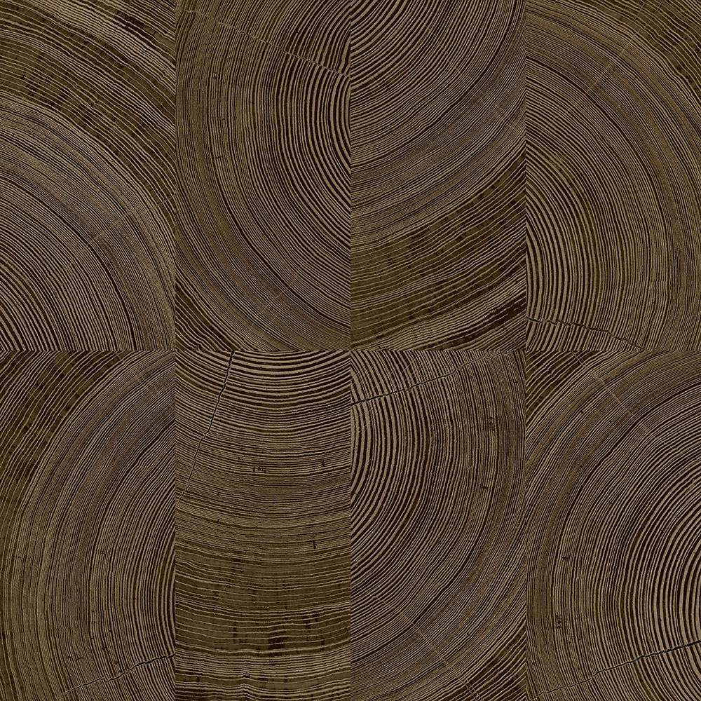 Tapete in brauner Holzpaneel-Optik, A69103, Vavex 2026