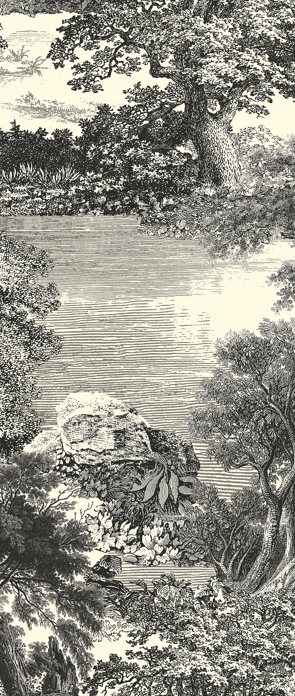 Fototapete, schwarz, Wald, Bäume, DGSAL1011-260, Amazone, Masureel