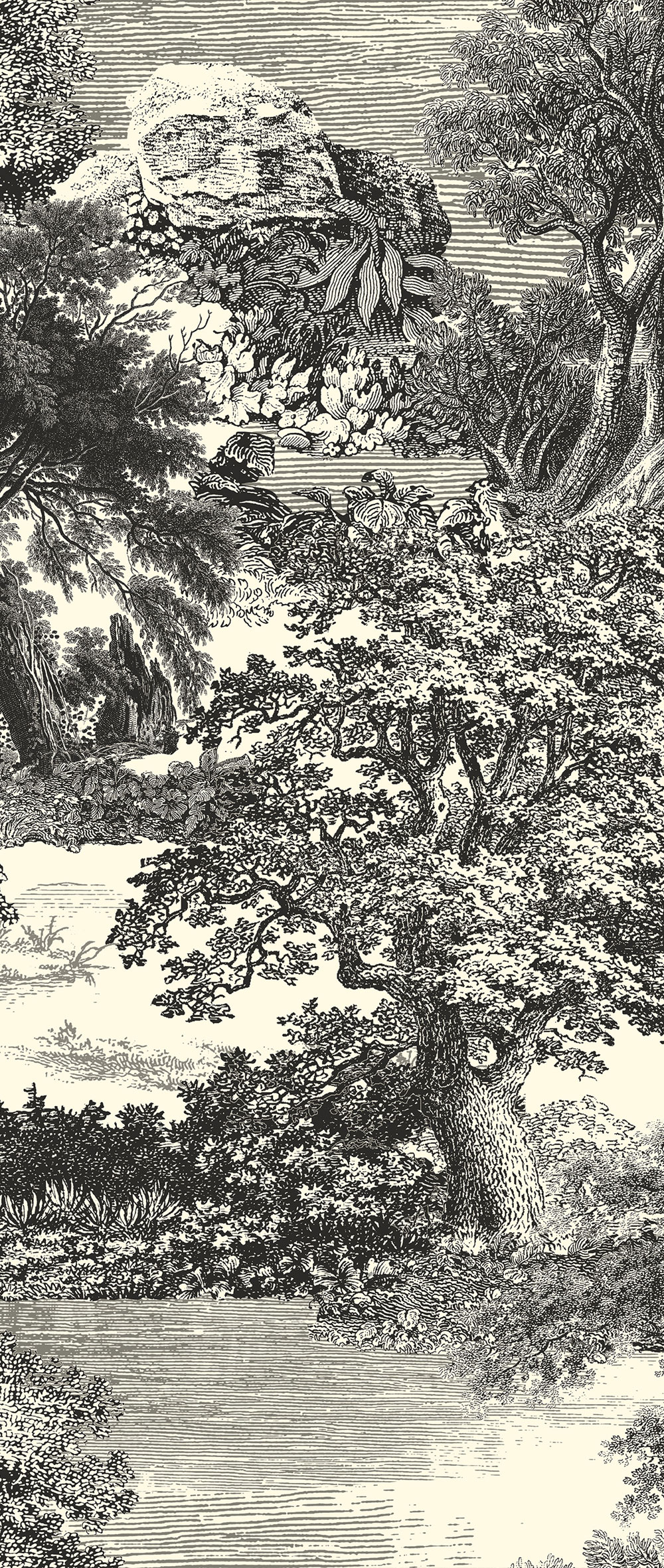 Fototapete, schwarz, Wald, Bäume, DGSAL1013-260, Amazone, Masureel