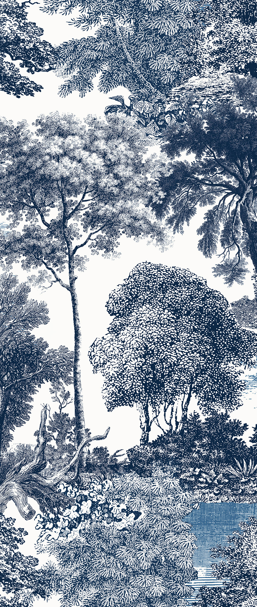 Fototapete, blau, Wald, Bäume, DGSAL1022-300, Amazone, Masureel