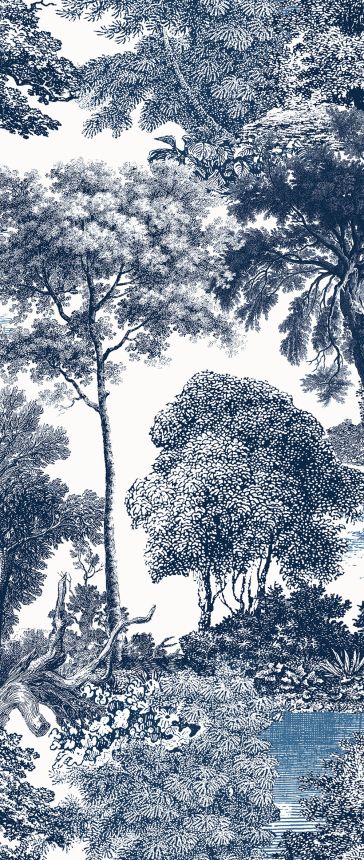 Fototapete, blau, Wald, Bäume, DGSAL1022-300, Amazone, Masureel