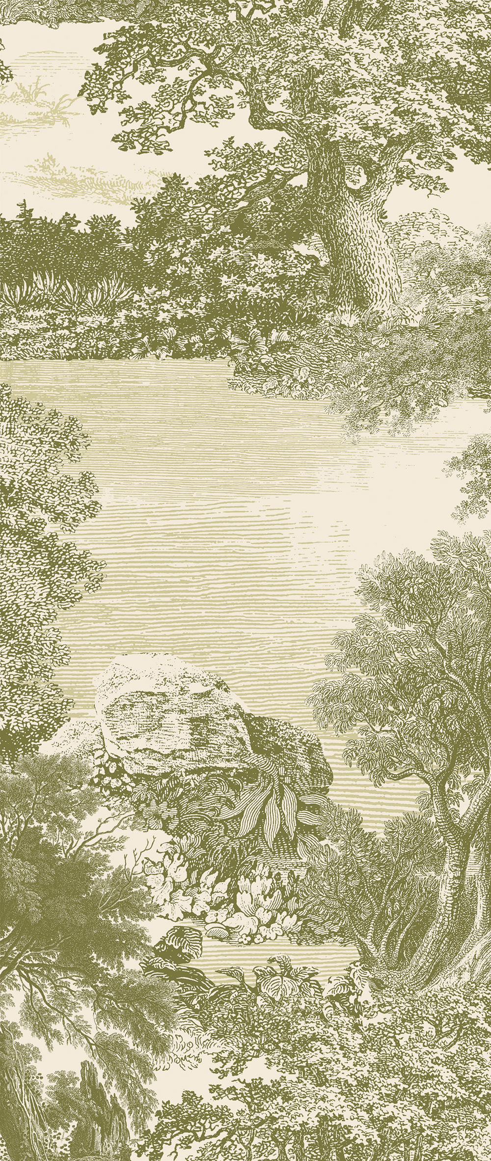 Fototapete, grün, Wald, Bäume, DGSAL1031-260, Amazone, Masureel