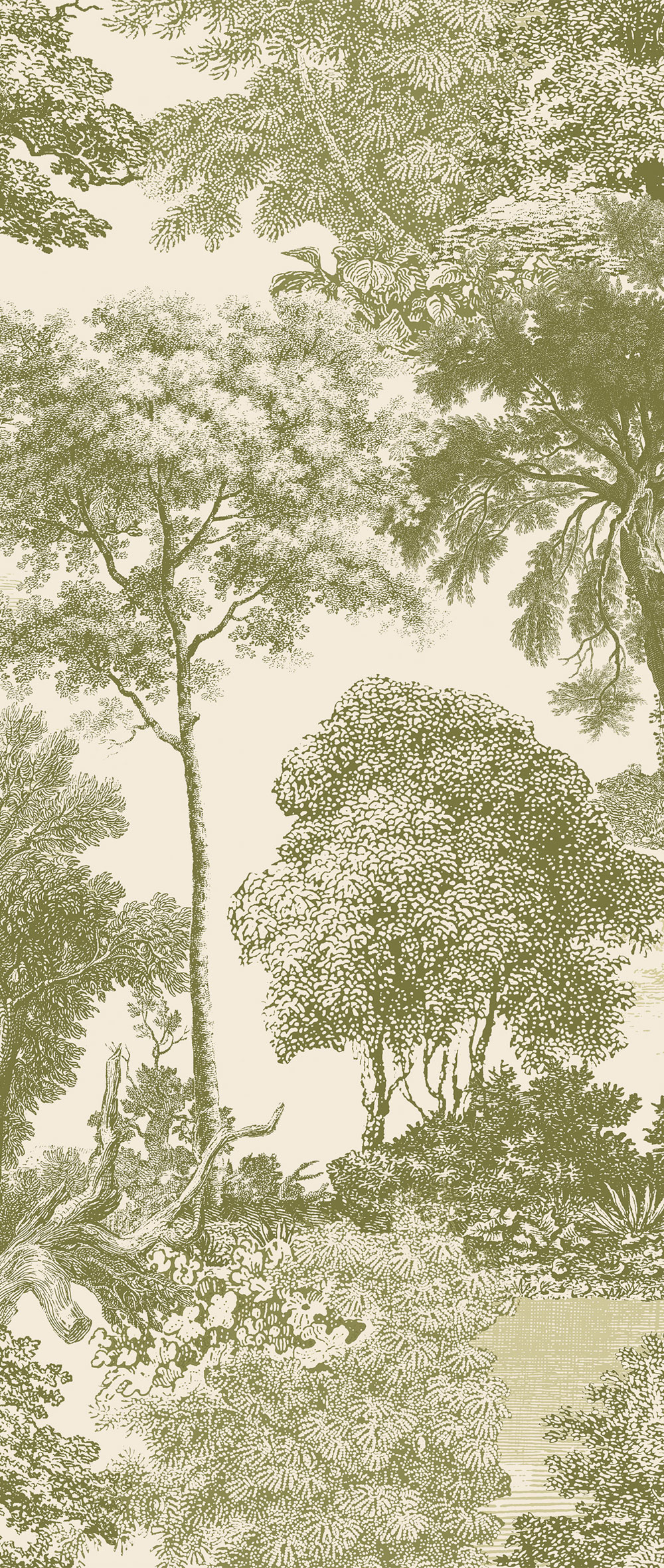 Fototapete, grün, Wald, Bäume, DGSAL1032-260, Amazone, Masureel