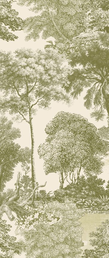 Fototapete, grün, Wald, Bäume, DGSAL1032-260, Amazone, Masureel