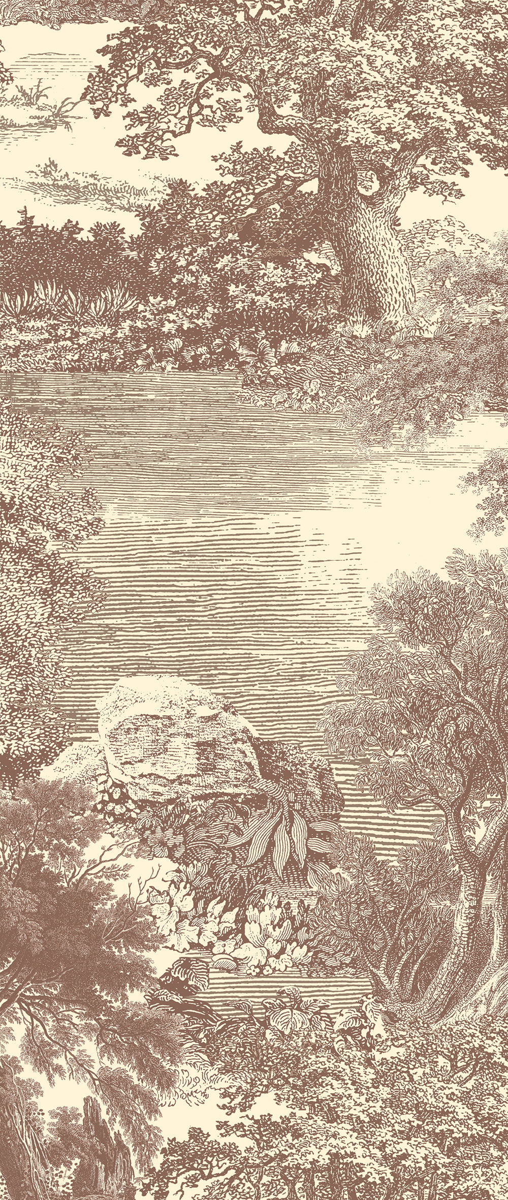 Fototapete, braun, Wald, Bäume, DGSAL1041-300, Amazone, Masureel