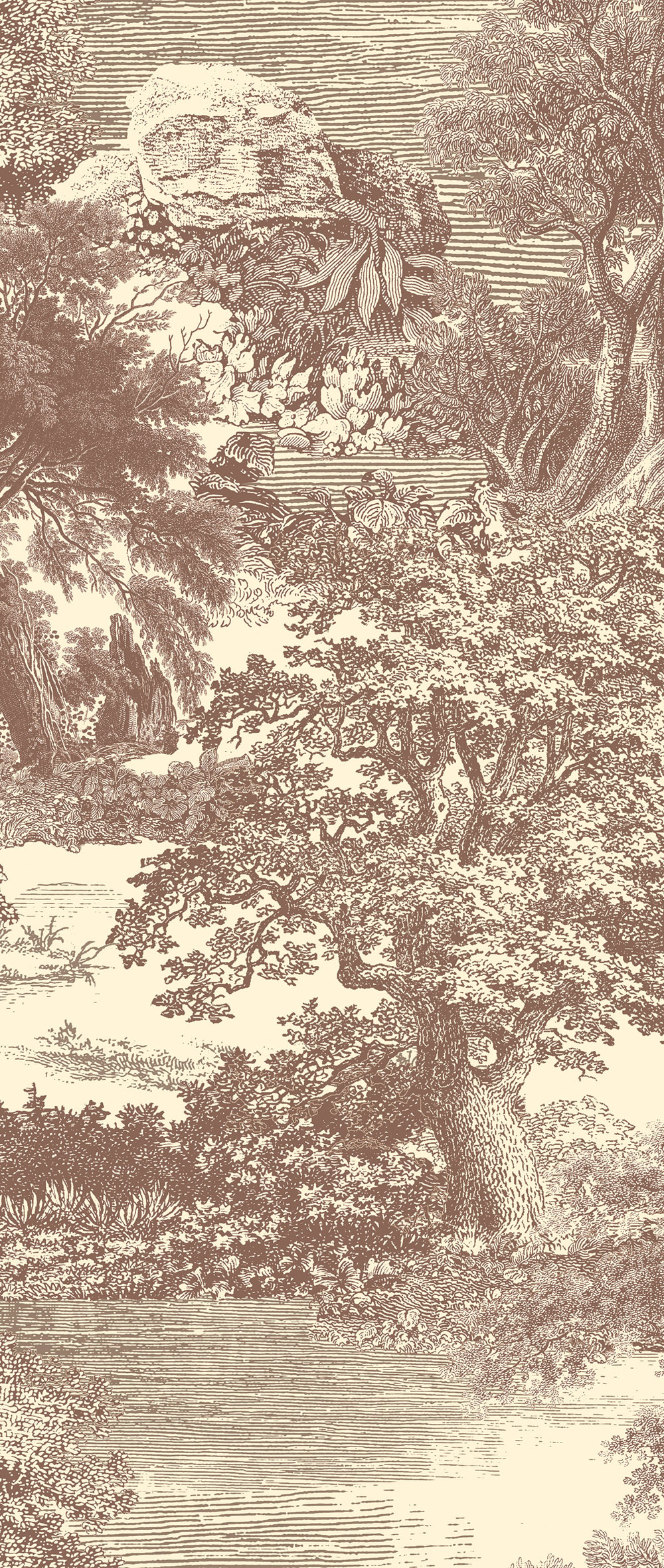 Fototapete, braun, Wald, Bäume, DGSAL1043-300, Amazone, Masureel