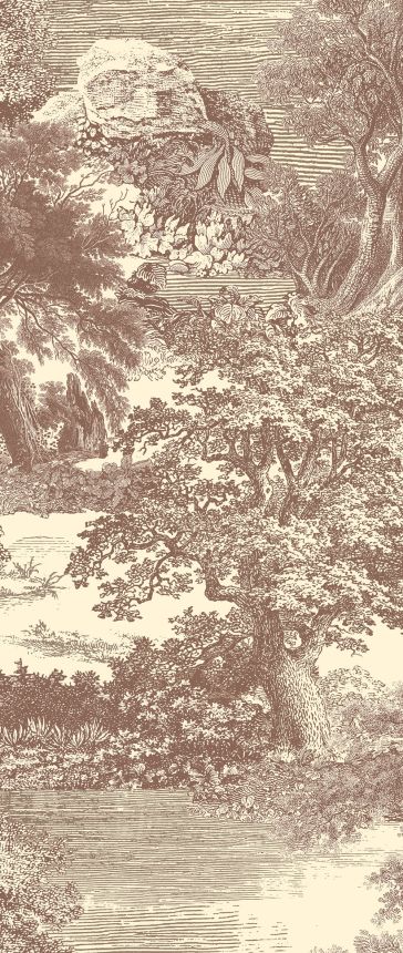 Fototapete, braun, Wald, Bäume, DGSAL1043-300, Amazone, Masureel