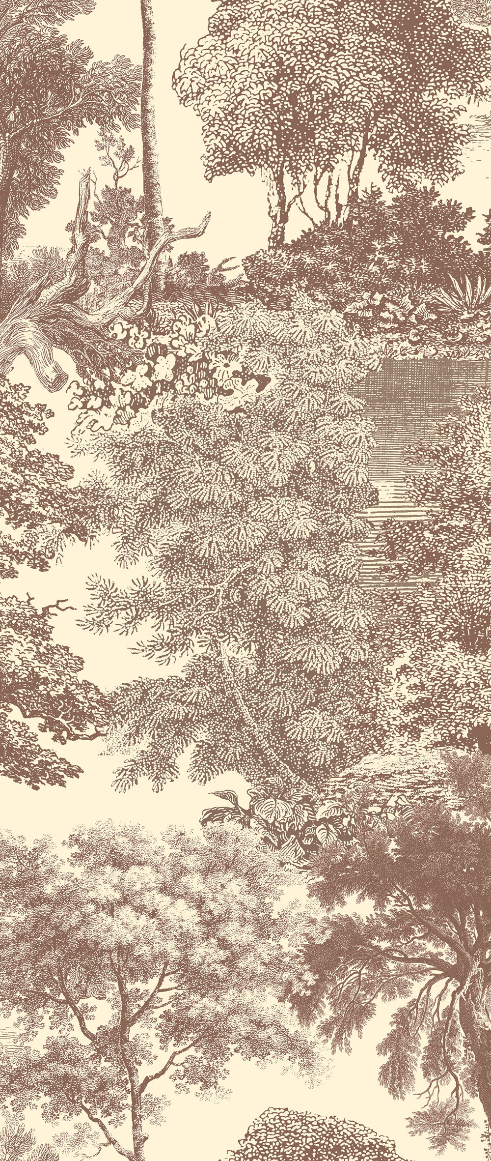 Fototapete, braun, Wald, Bäume, DGSAL1044-260, Amazone, Masureel