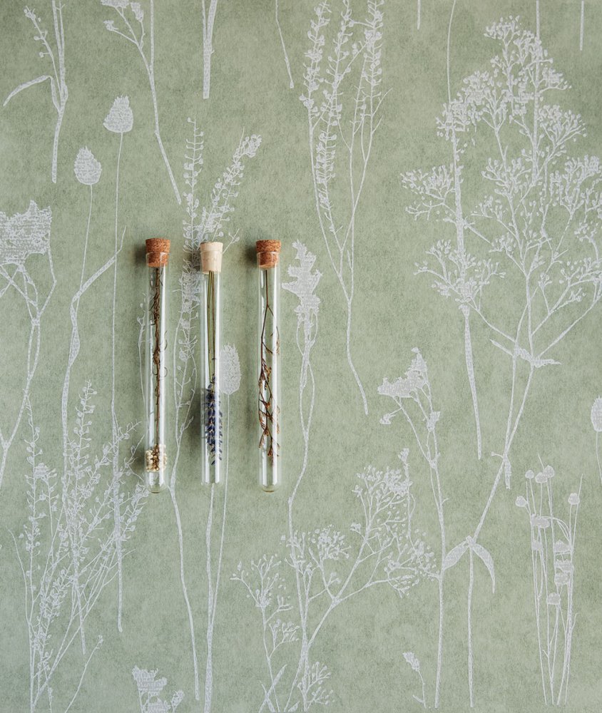 Vliestapete 300811, Pflanzen, Gras, Waterfront, Eijffinger