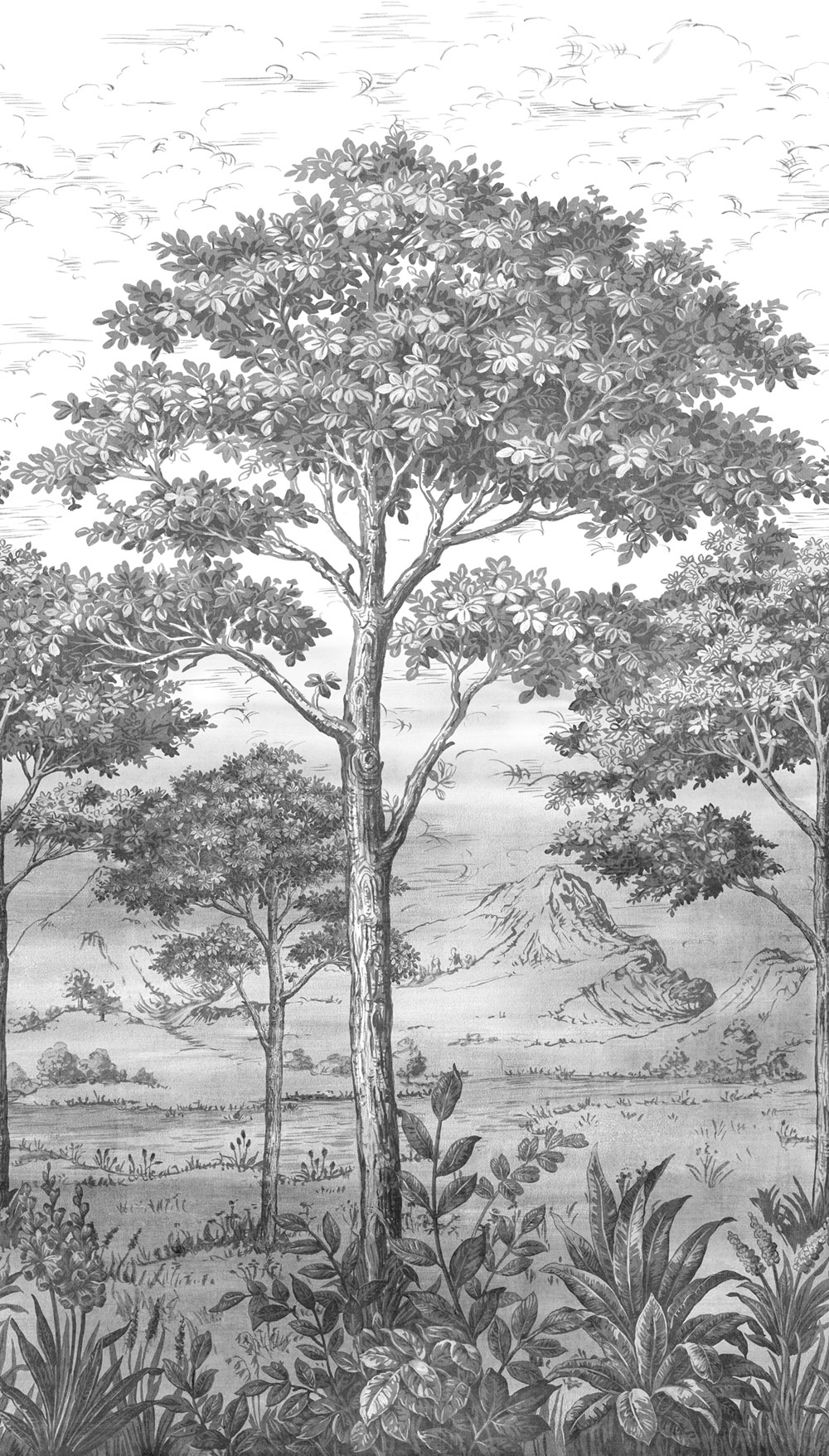 Fototapete, Landschaft, Bäume, A56702, One roll, one motif 2, Grandeco