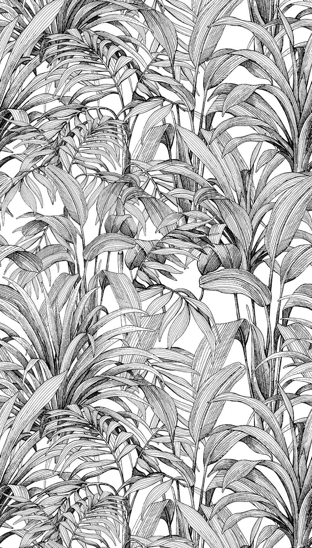 Fototapete, Blätter, A58301, One roll, one motif 2, Grandeco