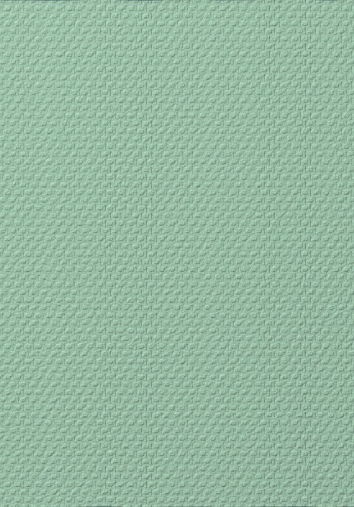 Überstreichbare Glasfasertapete T1010, Old Friends II, Vavex 2025