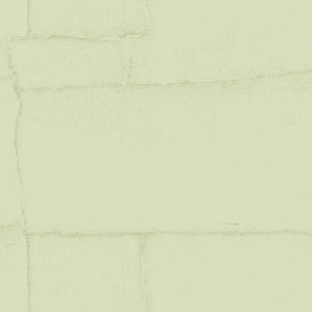 Luxustapete, grün, Stein, Z30310, Casa 8, Trussardi