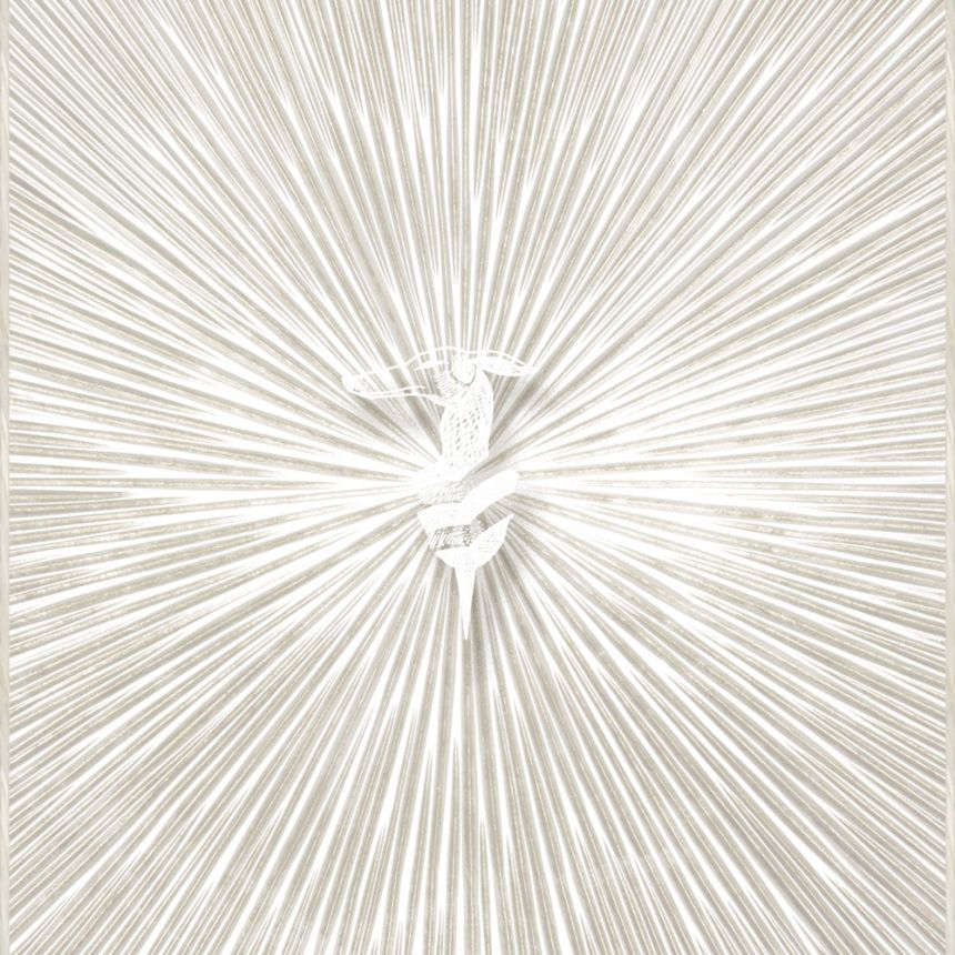 Luxus-geometrische Tapete, beige, Z30346, Casa 8, Trussardi