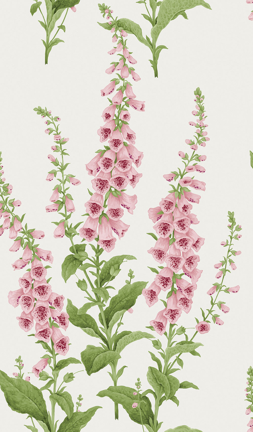 Tapete, creme, Blumen, 130307, Concerto, Graham Brown Premium