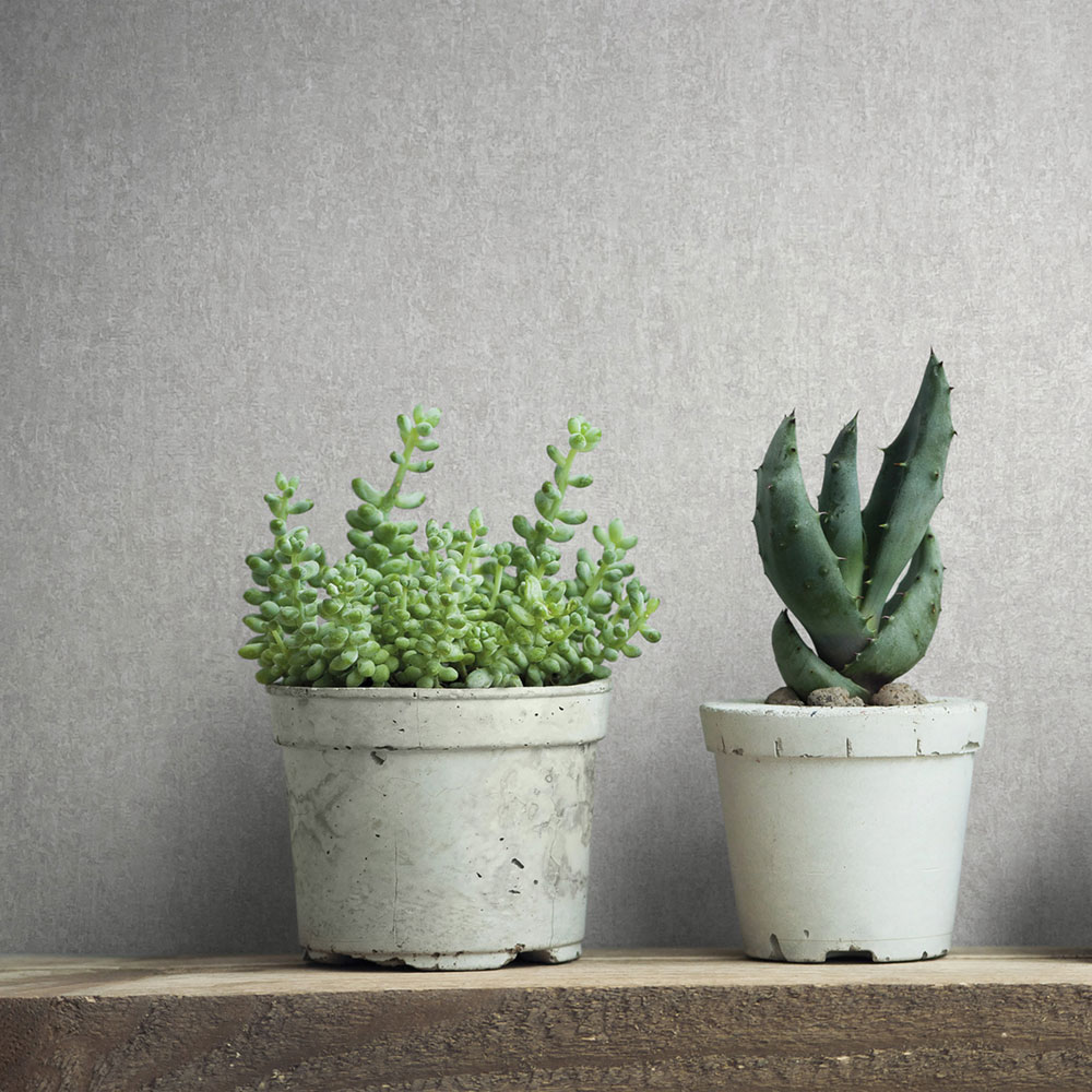 Tapete, grau, Stuckputz, 35137, City Romance, Marburg