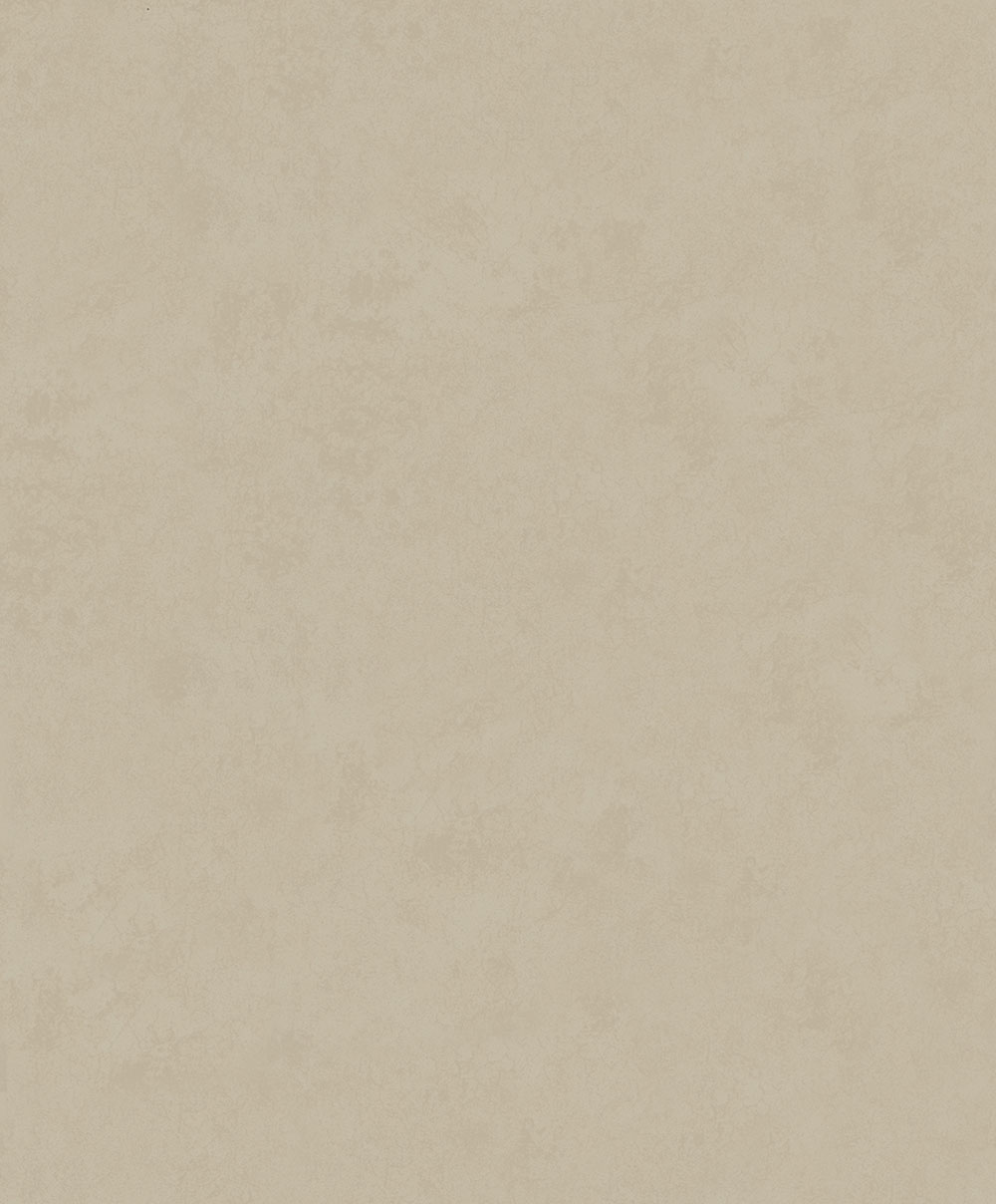 Tapete, Braun-Beige, Stuck, Beton, 34630, Terra, Marburg