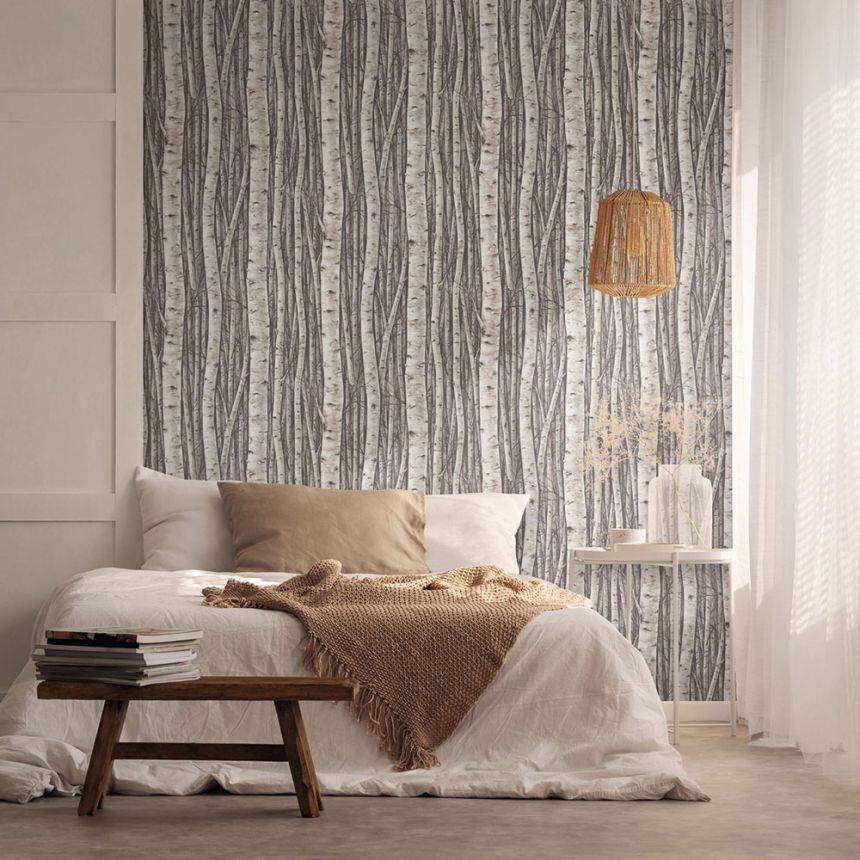 Tapete, grau-braun, Bäume, Birkenhain, 35394, Timber, Marburg