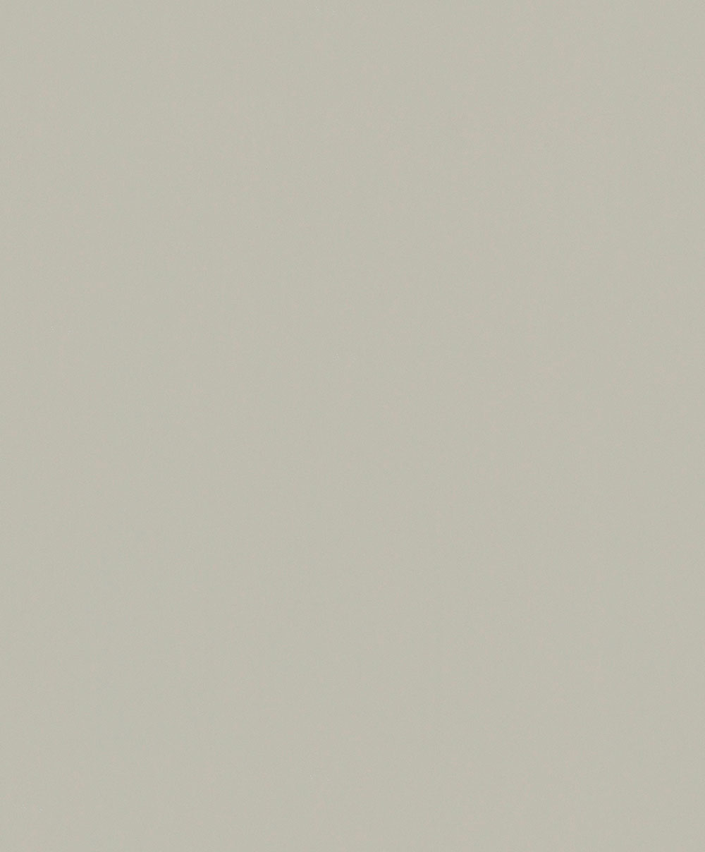 Tapete, Grau-Beige, 82517, Naomi, Novamur