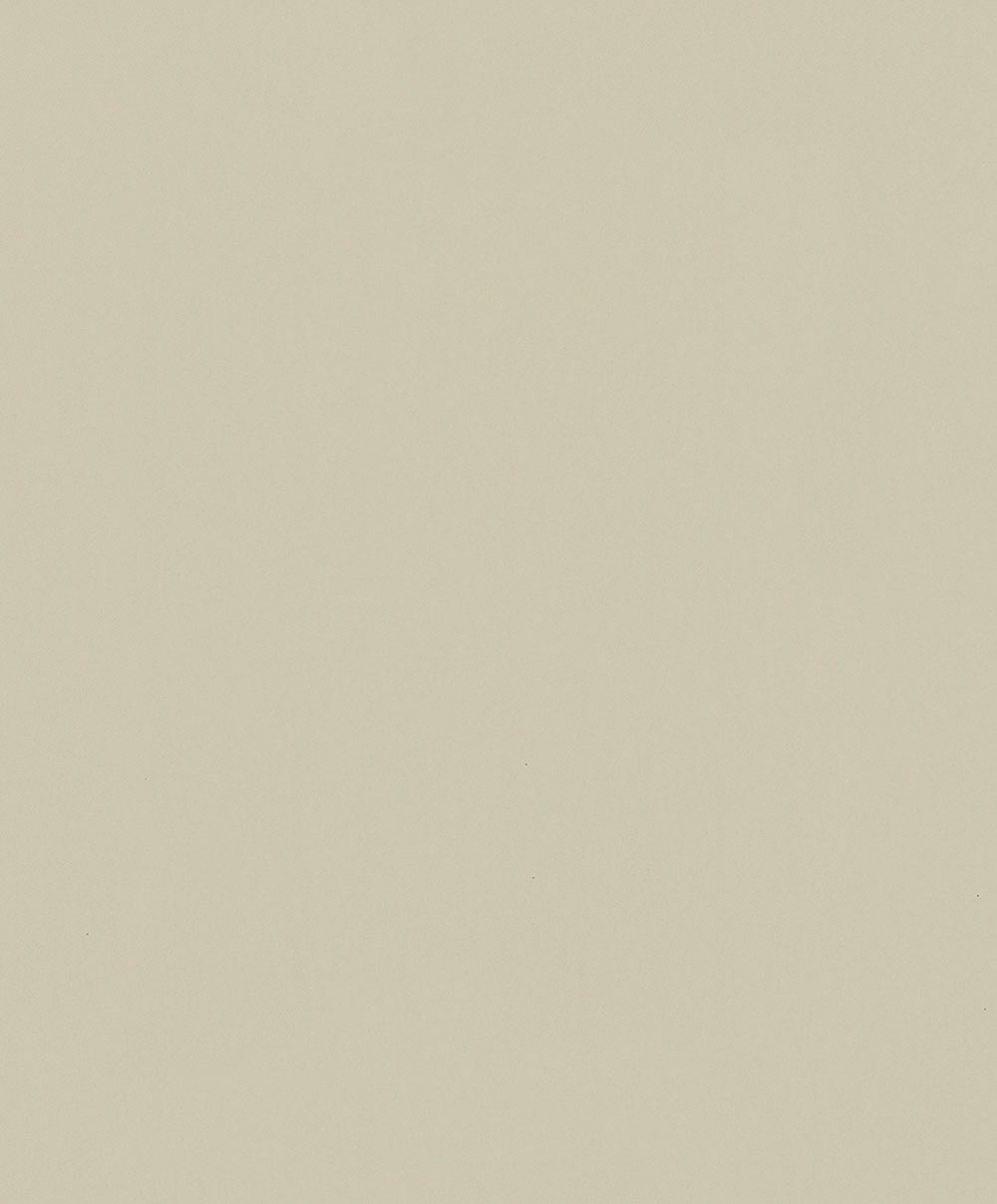 Tapete, Beige, 82532, Naomi, Novamur