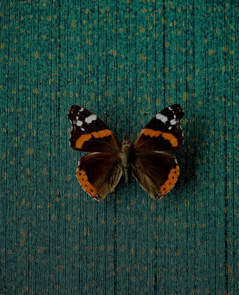 Vlies, Luxustapete 307351, Museum, Eijffinger