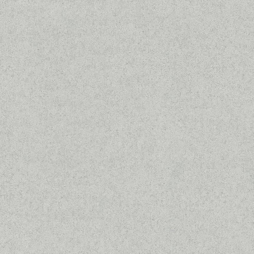 Tapete, grau, Textur, 73832, Tendenze, Emiliana Parati