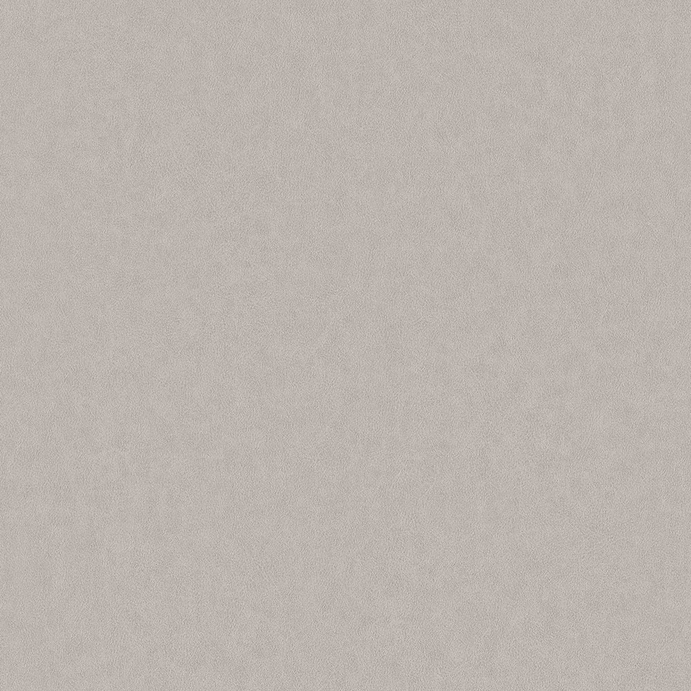 Vliestapete Lederimitat, 220502, Grand Safari, BN Walls