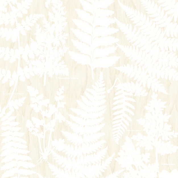 Vlies Fototapete 366106, 309019, 232,5x280cm, Geonature, Wallpower Favorites, Eijffinger