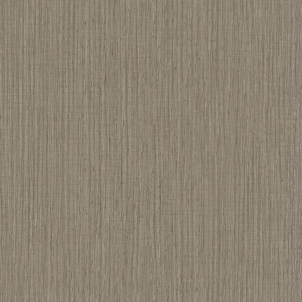 Tapete, Braun, Holzoptik, TN29042, Terra Nova, Decoprint
