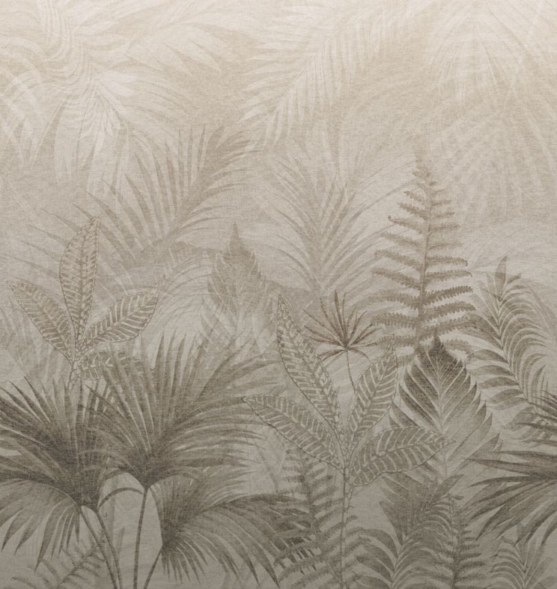 Fototapete, Braun, Beige, Farne, TND29099, Terra Nova, Decoprint